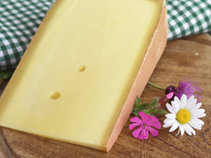 Gereifter Bergkäse