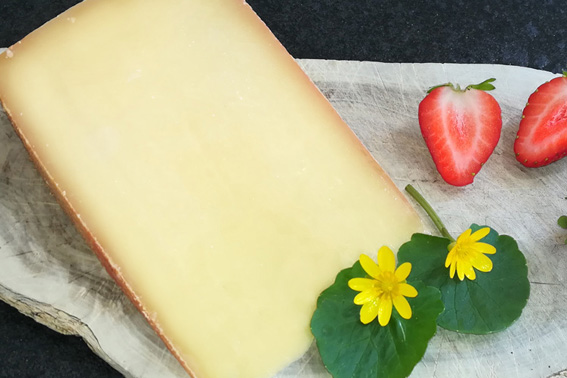 Gereifter Bergkäse